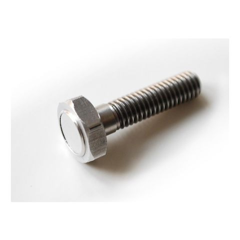 Motogadget Magnetic Bolt