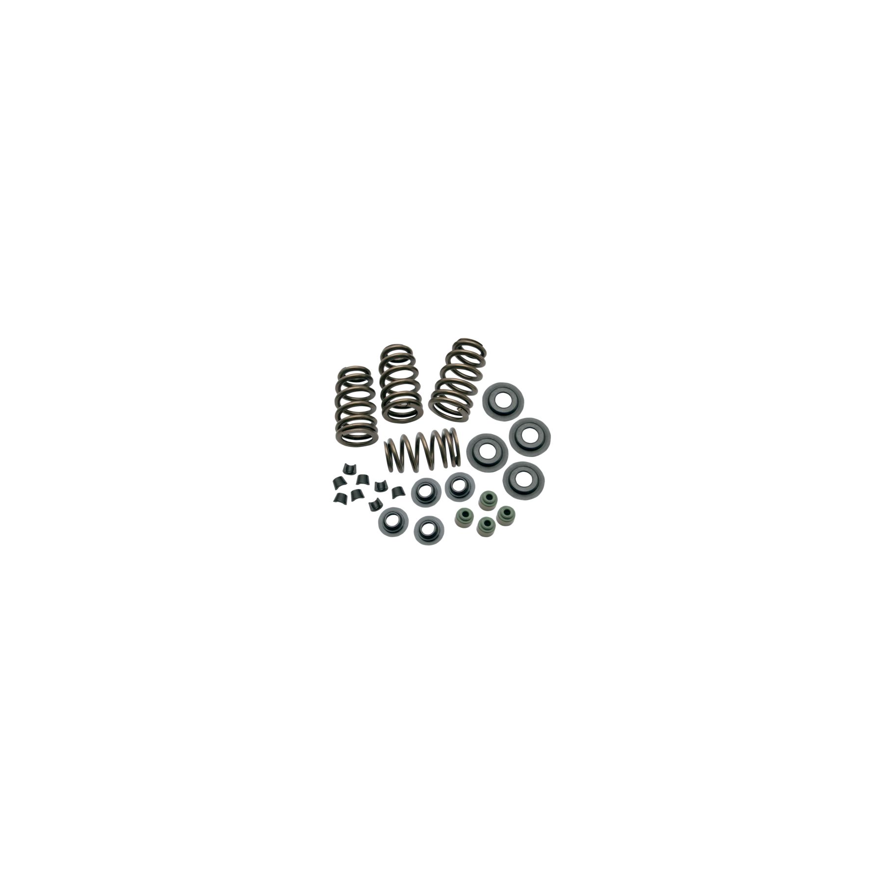 S&S Cycle S&S Cycle Sidewinder .650 Valve Spring Kit For Harley Twin Cam / Sportster 2004-2022 - $257.95 at J&P Cycles