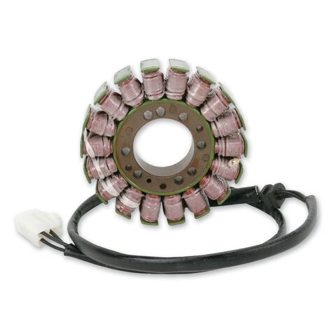 Rick's Motorsport Electrics Stator Triumph Daytona 955i 2001-2006