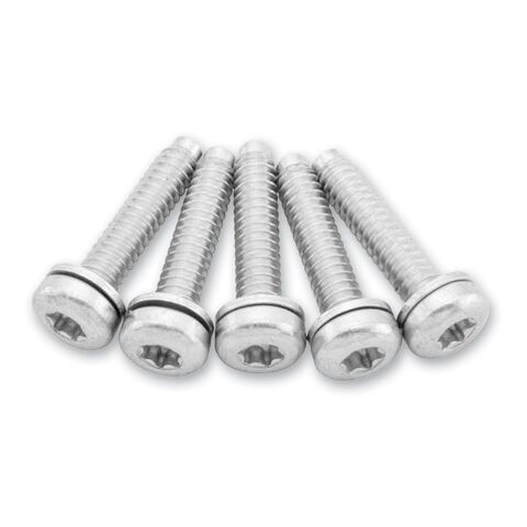 Twin Power Fuel Pump Plate Screws For Harley Sportster 2004-2022