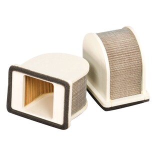 HiFloFiltro Air Filter HFA2404