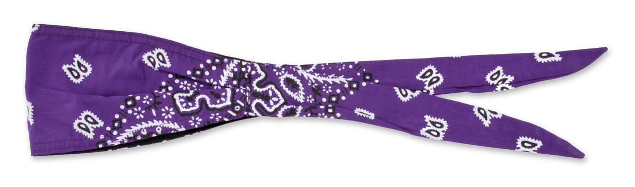 Schampa Old School Paisley Bandana | JPCycles.com
