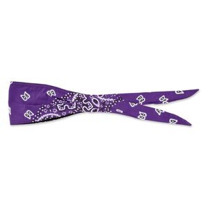 、 Schampa Old School Paisley Bandana | JPCycles.com