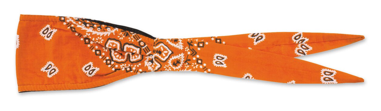 Schampa Old School Paisley Bandana | JPCycles.com