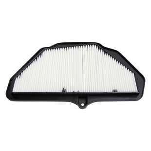 HiFloFiltro Air Filter HFA2921