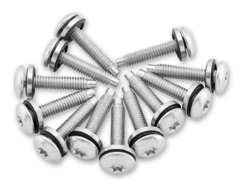 13　斑50こ Twin Power Fuel Pump Plate Screws For Harley Dyna 2004-2017