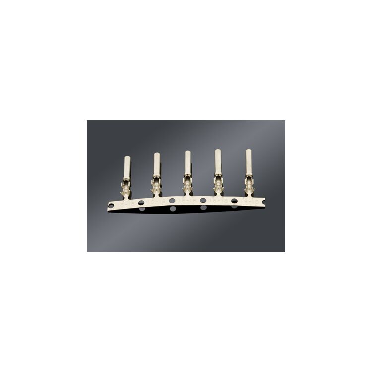 Namz Deutsch Stamped Sockets