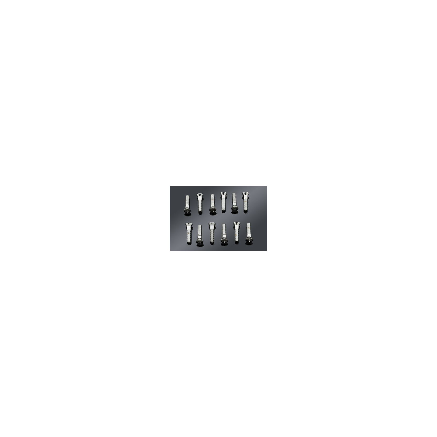 Colony Colony OEM Style Cam Cover Screws For Harley Big Twin 1936-1969 - $25.49 at J&P Cycles