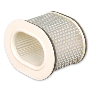 HiFloFiltro Air Filter HFA4902