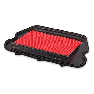 HiFloFiltro Air Filter HFA1910