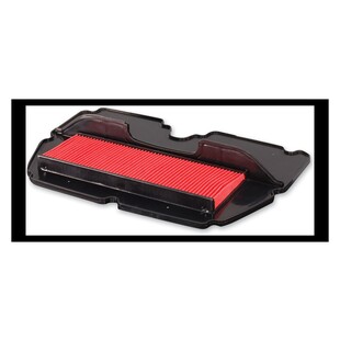 HiFloFiltro Air Filter HFA1901