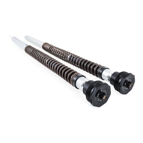 Ohlins FKA100 Adventure Cartridge Kit Ducati Scrambler Desert Sled 2017-2022