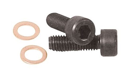V-Twin Mfg. Fork Damper Tube Screw Set For Harley 1975-2022
