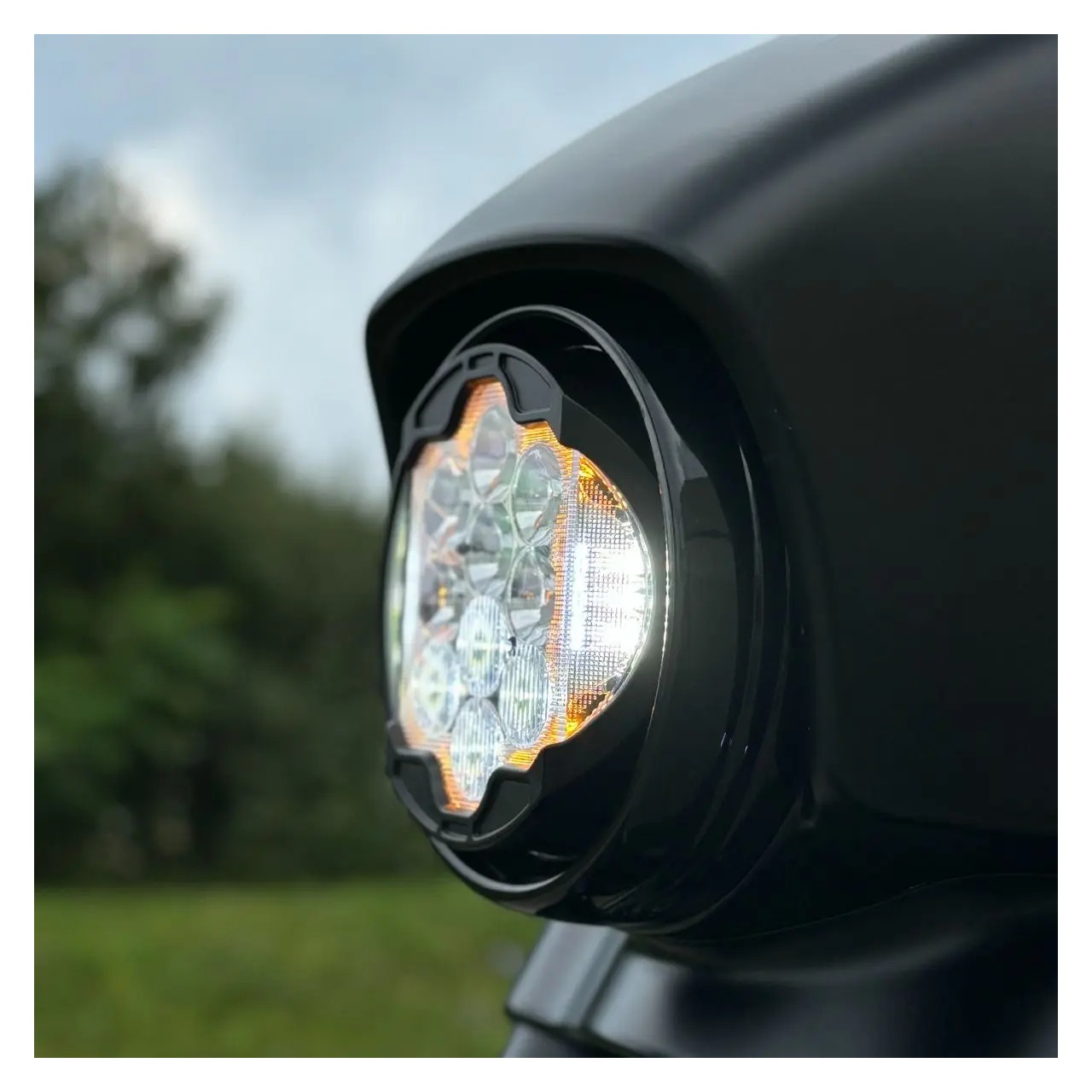 HogWorkz Silvertooth 7