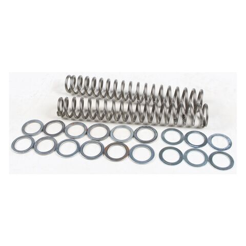 Race Tech Fork Springs FRSP S3825
