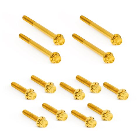 Arlen Ness 12-Point Titanium Primary Bolt Kit For Harley Touring 2017-2026