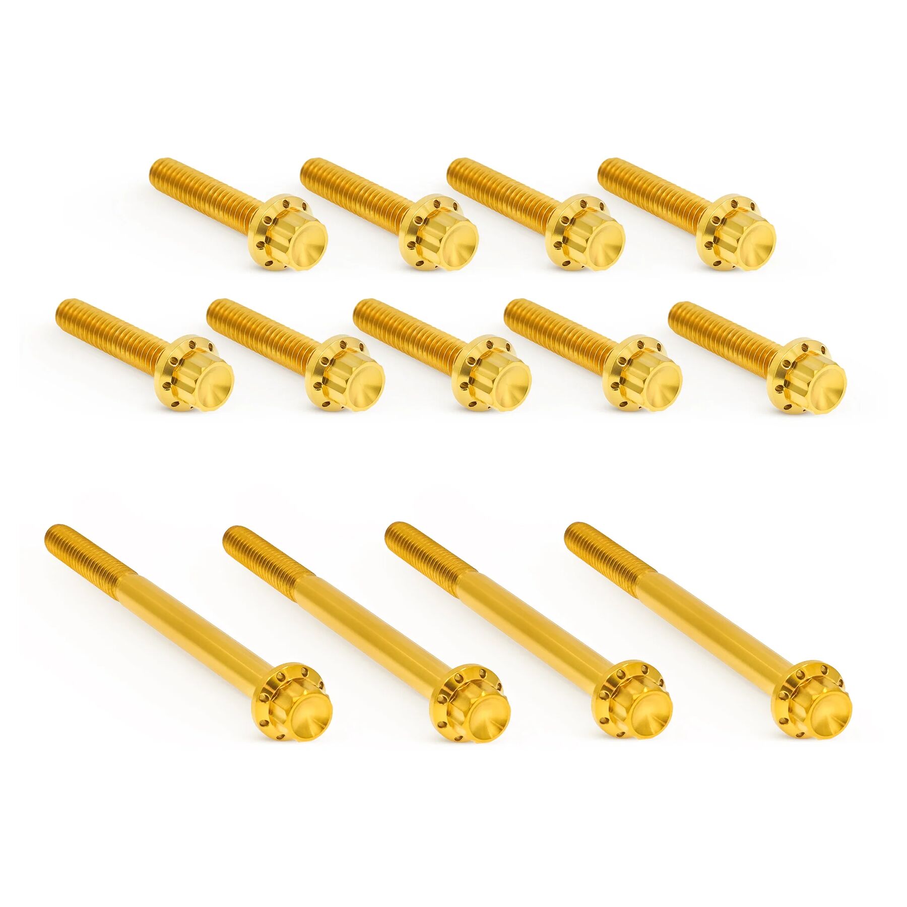 Arlen Ness Arlen Ness 12-Point Titanium Primary Bolt Kit For Harley Touring 2007-2016 - $169.95 at J&P Cycles