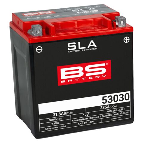 BS Battery 53030 SLA Factory-Activated AGM Battery