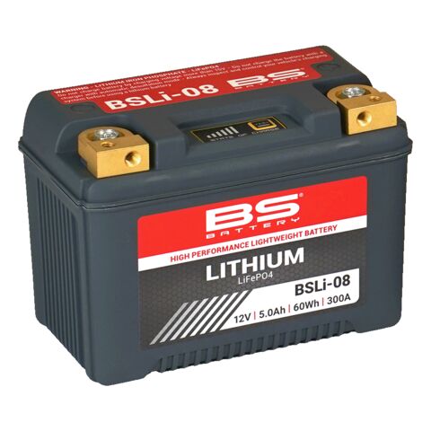 BS Battery BSLi-08 LiFePO4 Lithium Battery