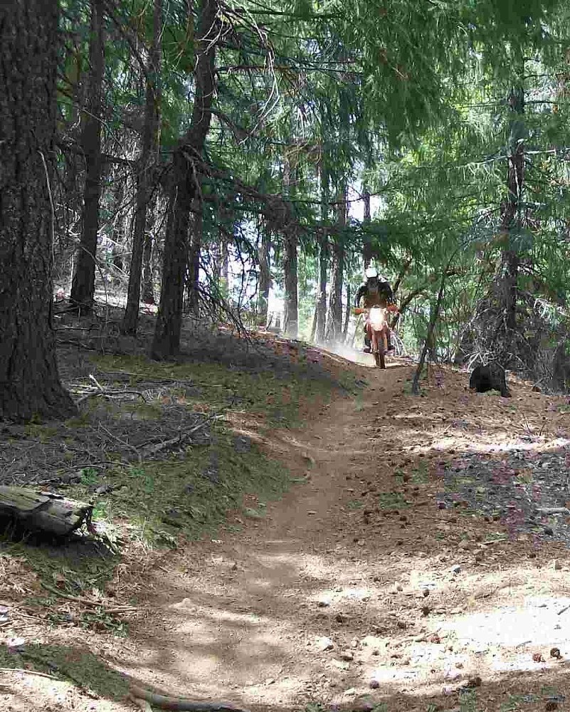 rider on a wooded trail on the Berryessa Snow Mountain National Monument land