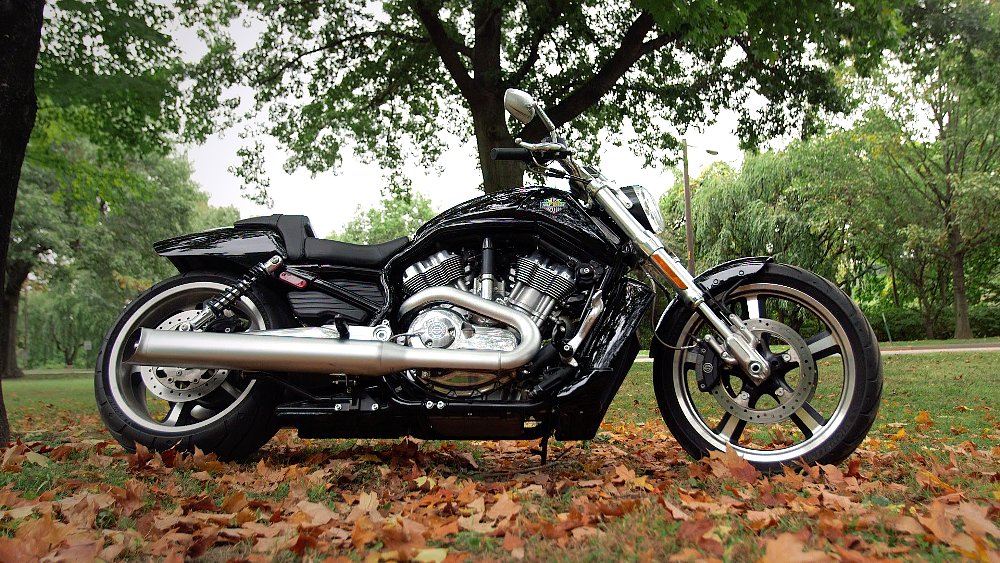 Harley-Davidson V-Rod Muscle