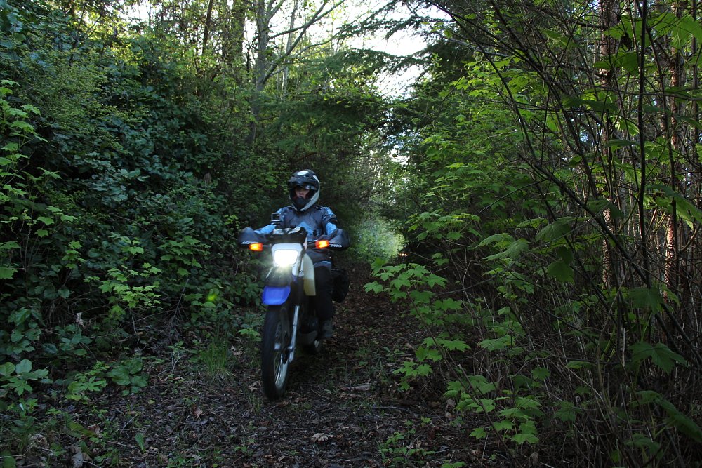 Washington off-road riding