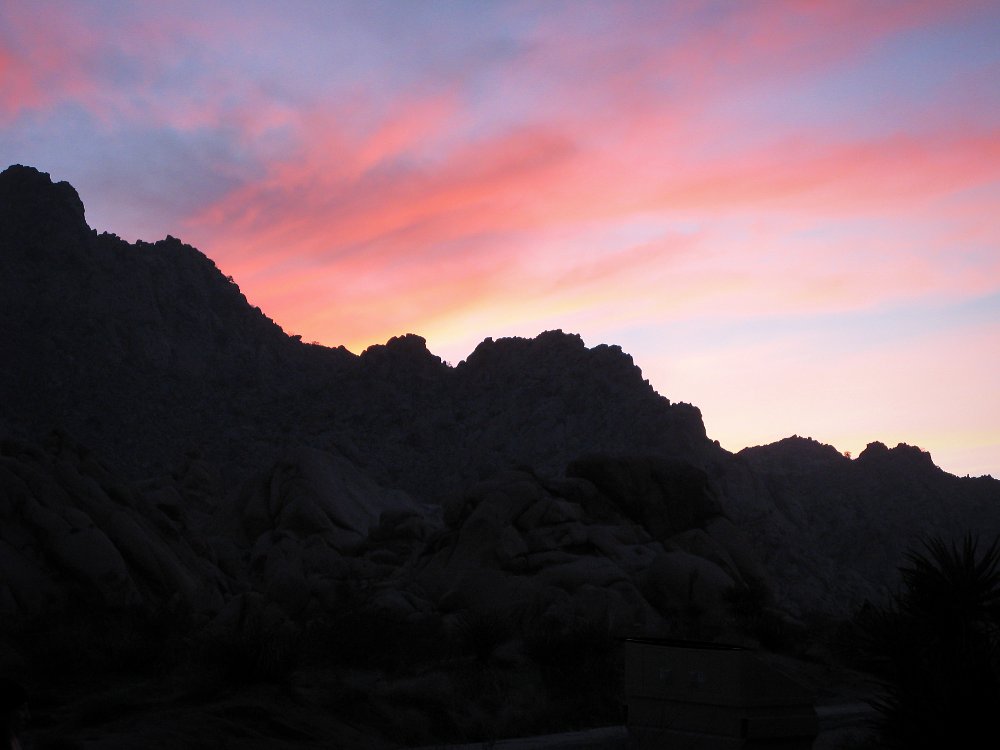 Joshua Tree National Park