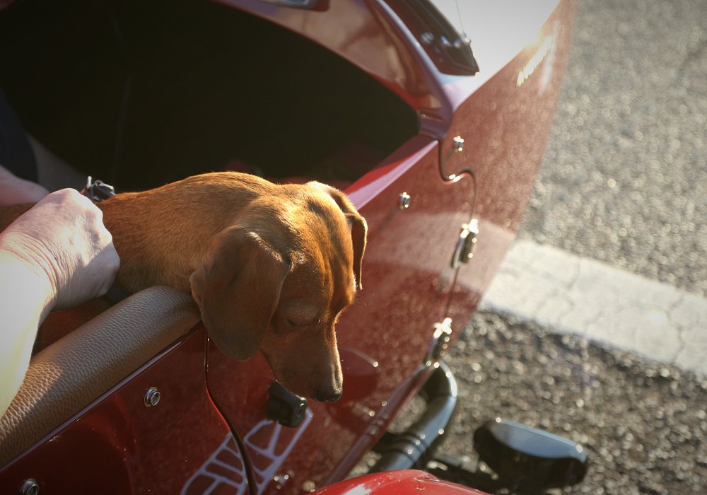 Captain Coffey in the sidecar