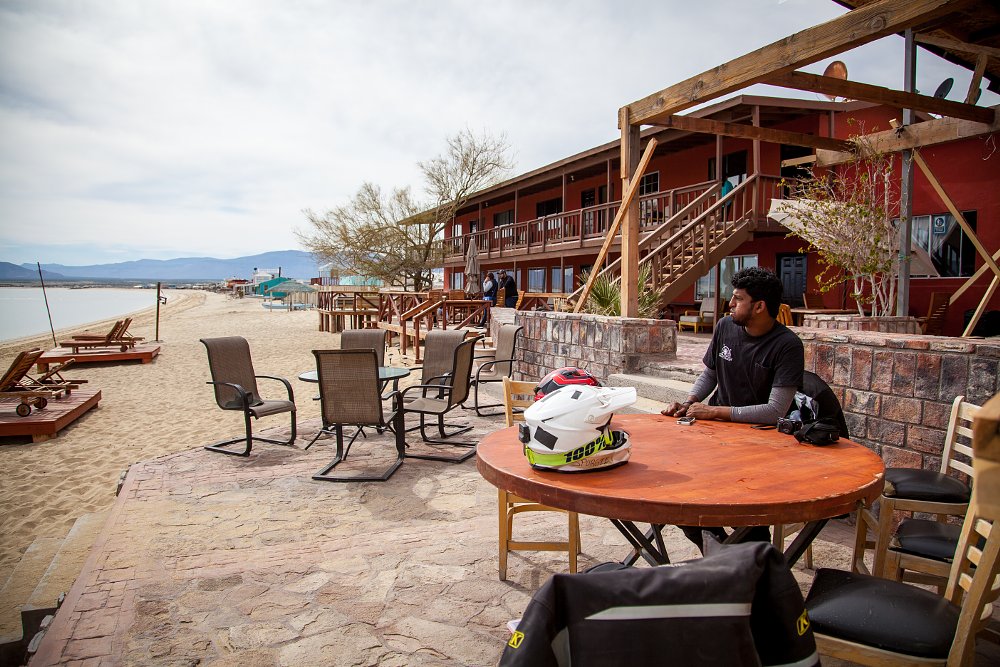 Alfonsinas in Baja Mexico