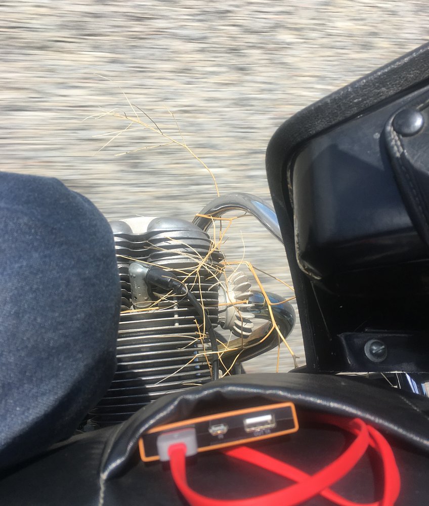 cylinder snags a tumbleweed