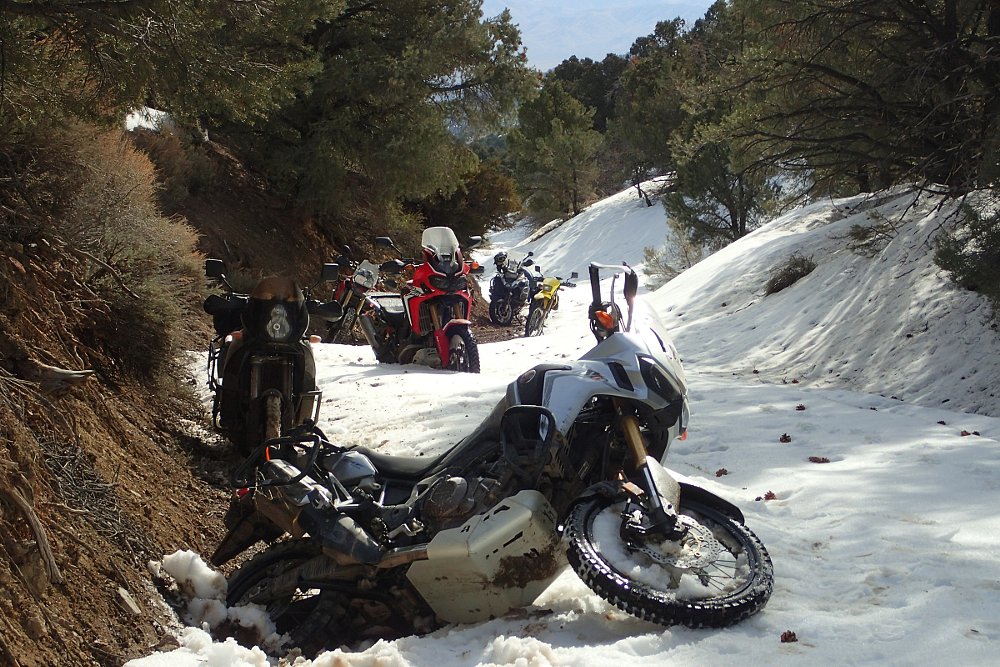 snow on Taste of Dakar
