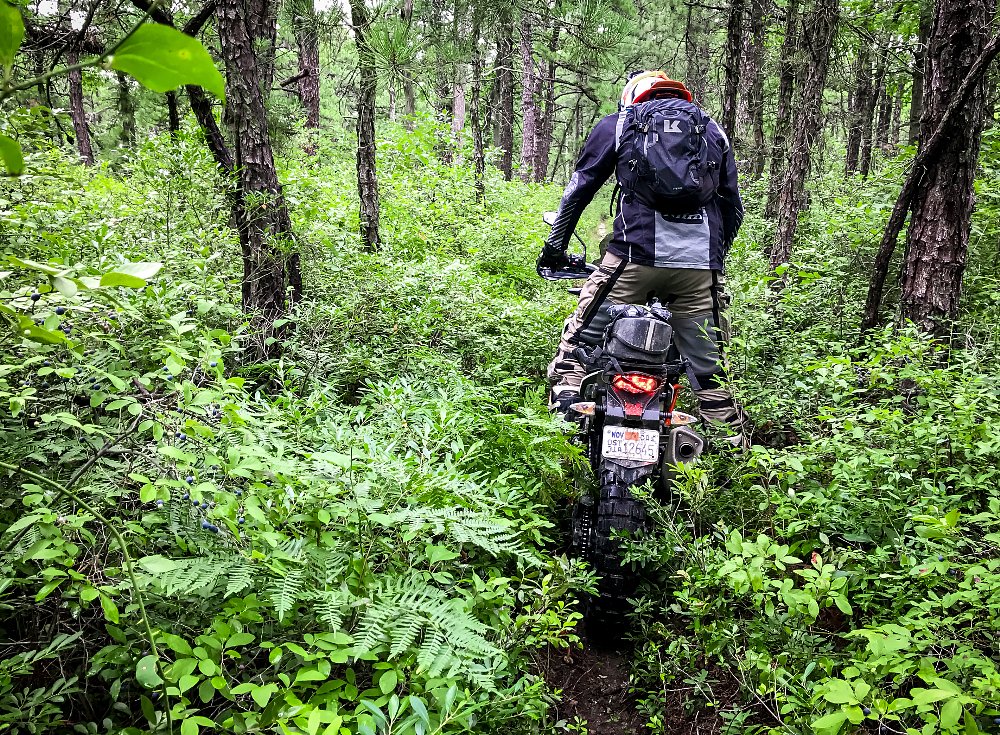 Mani Kalidasa KTM 1090 Adventure R