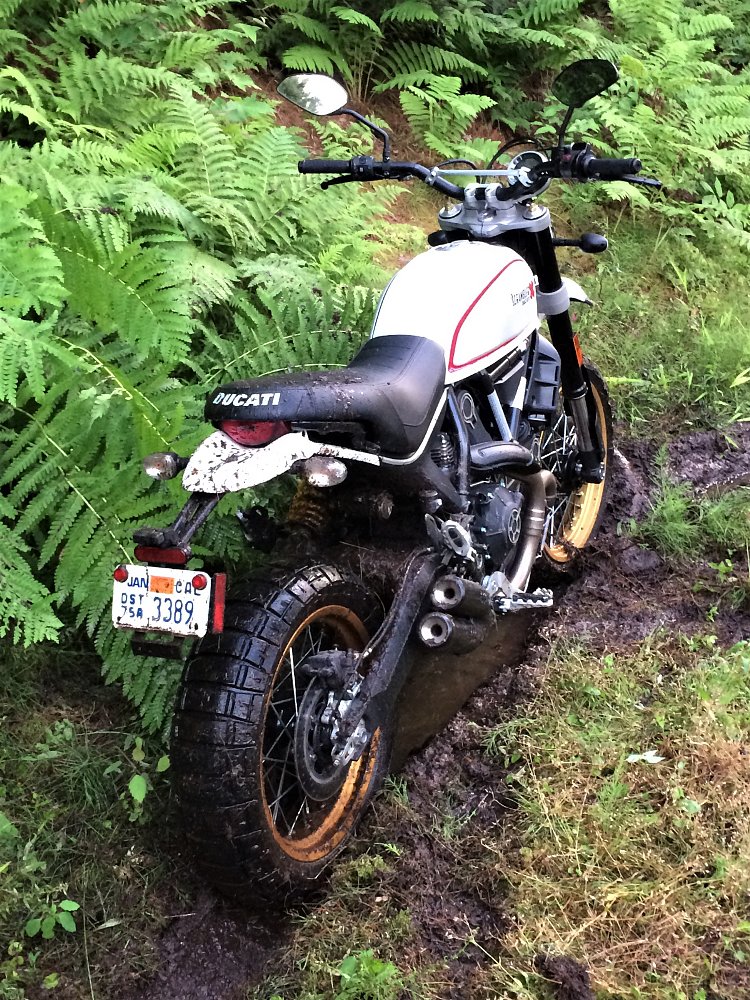 Ducati Scrambler Desert Sled in the mud