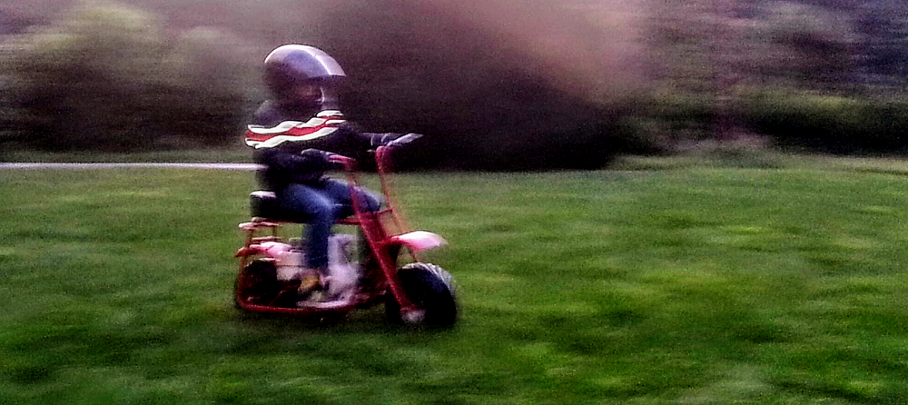 Stink on a Doodlebug