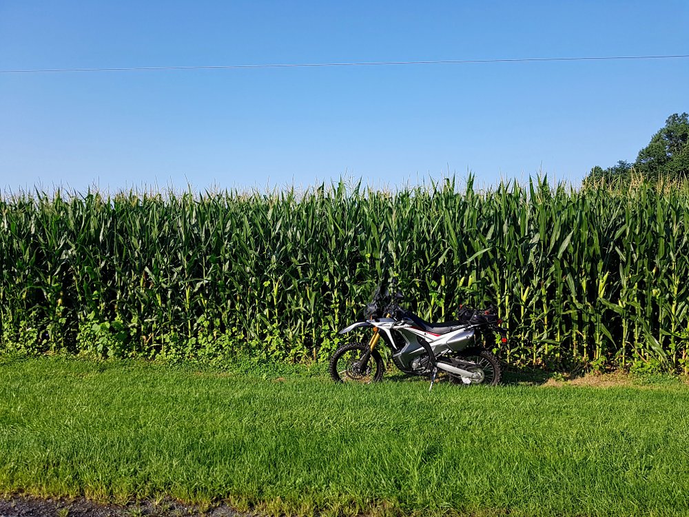Bike and corn