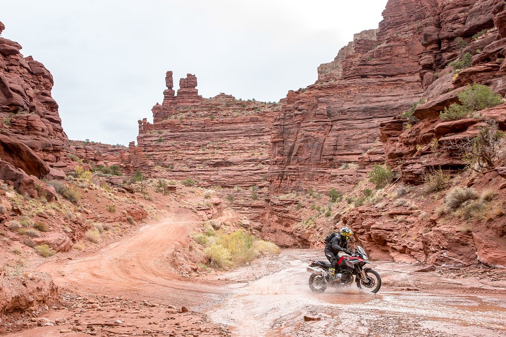 BMW F 850 GS Spurgeon Dunbar