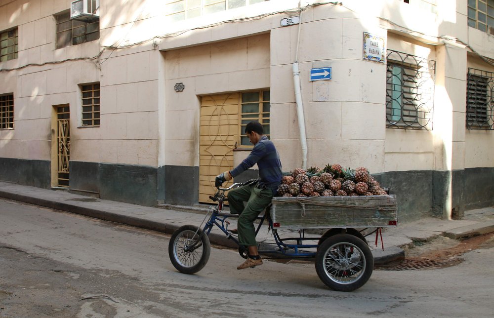 pineapple vendor on bicycle in Cuba