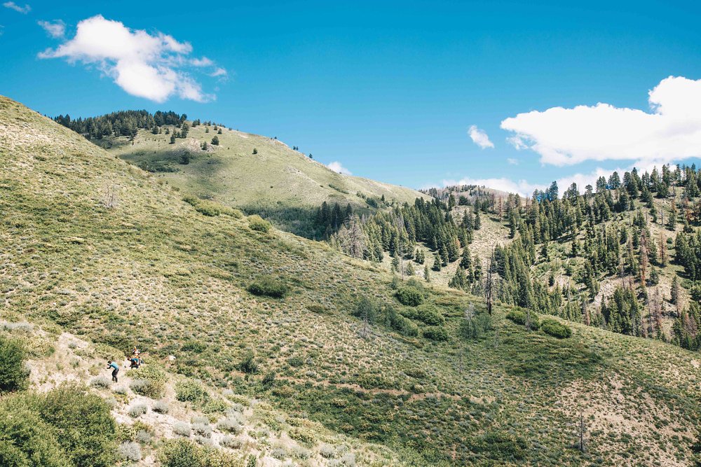 view in the Sawtooth Mountains