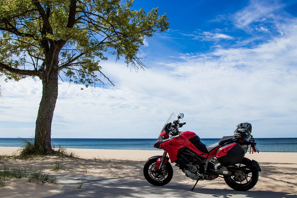 Duc