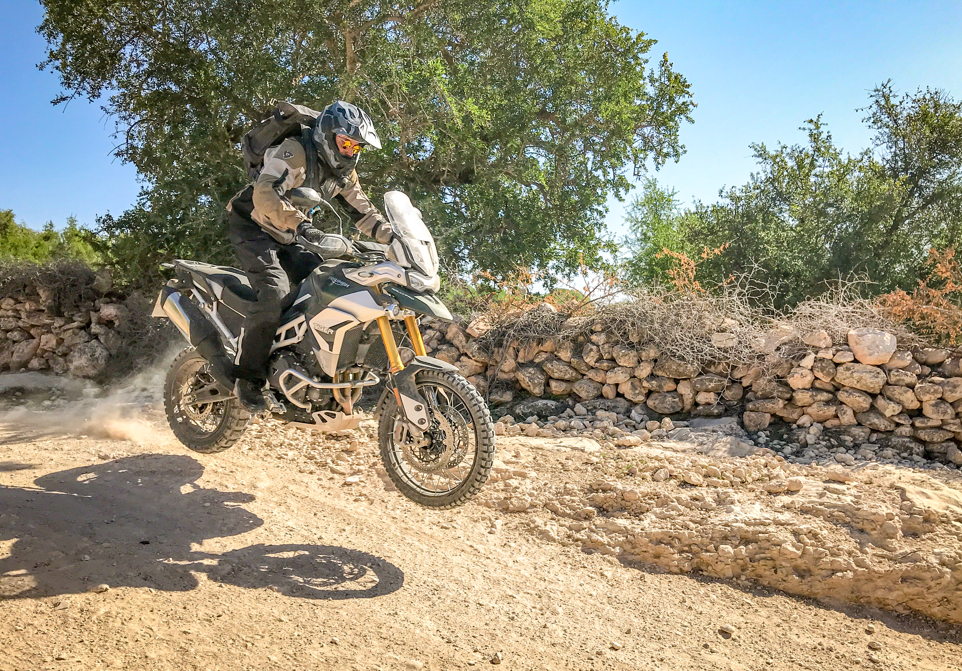 Triumph Tiger 900 First Ride Review 