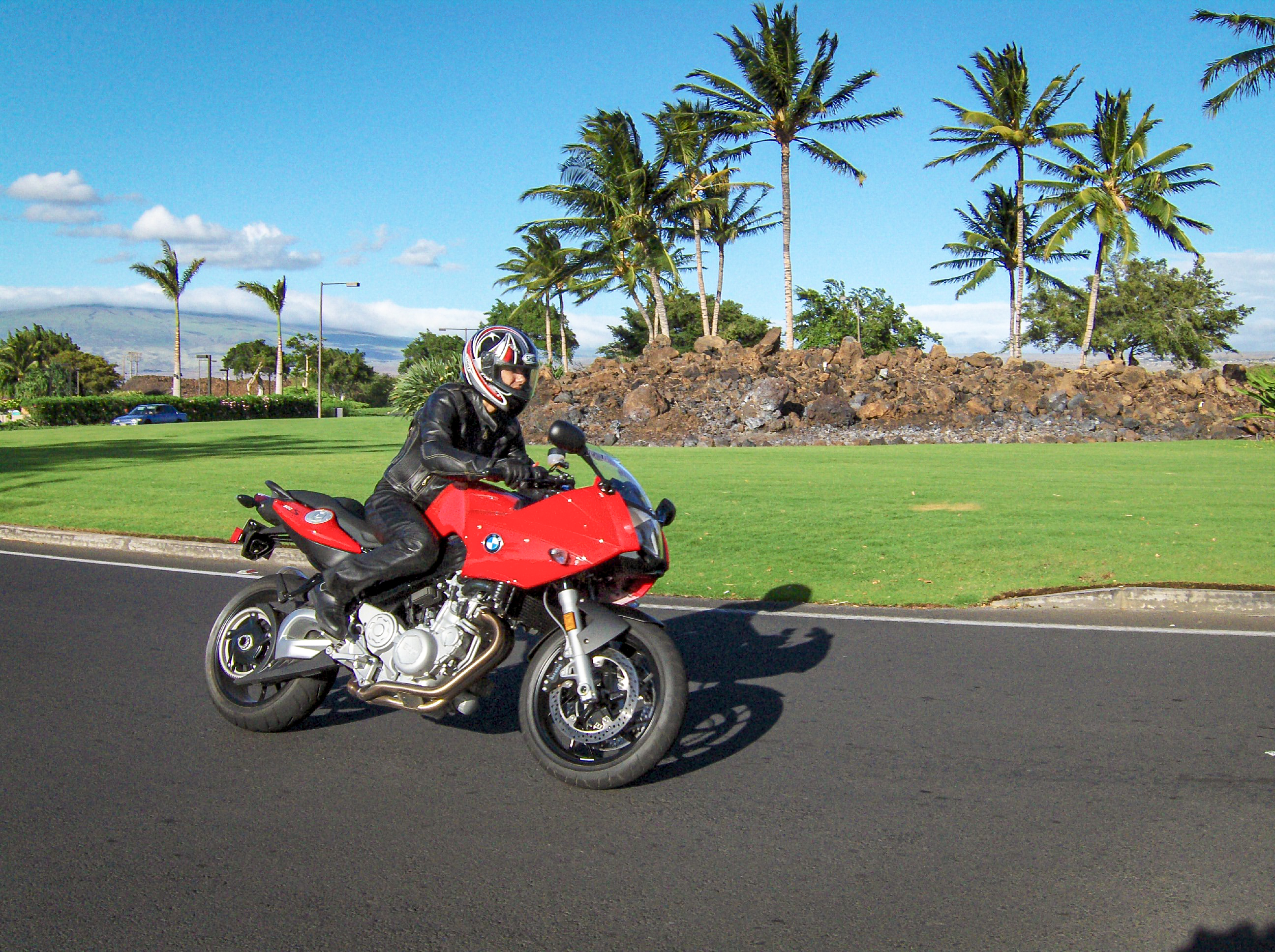 Genevieve Schmitt Interview 