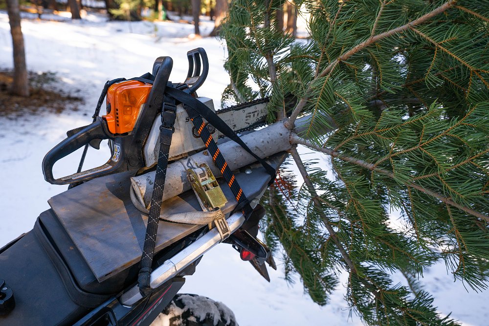 Africa Twin with a chainsaw. 