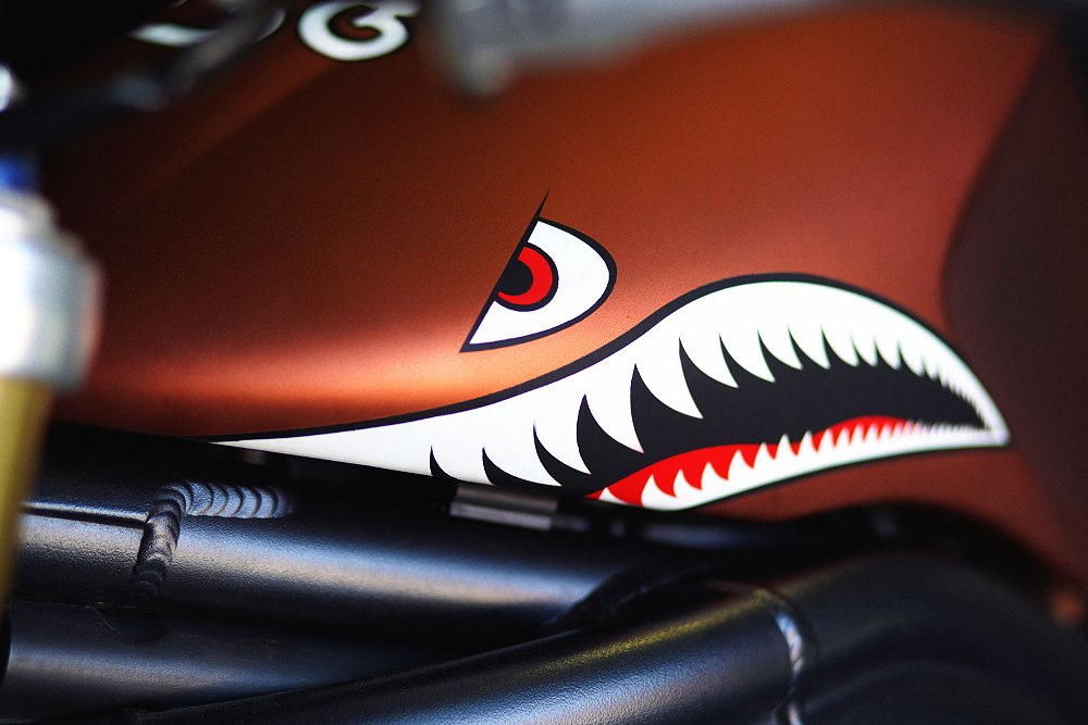 closeup of the shark tooth paint