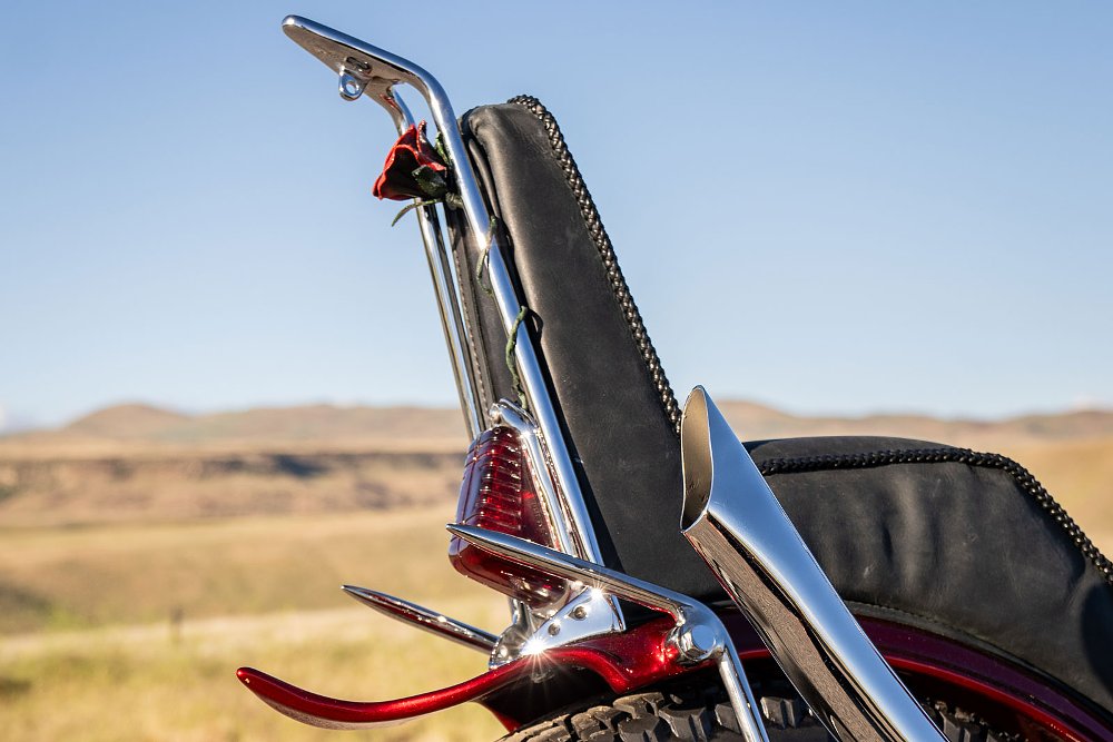 rear view of sissy bar
