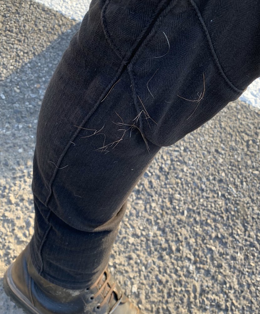 deer fur on pants leg