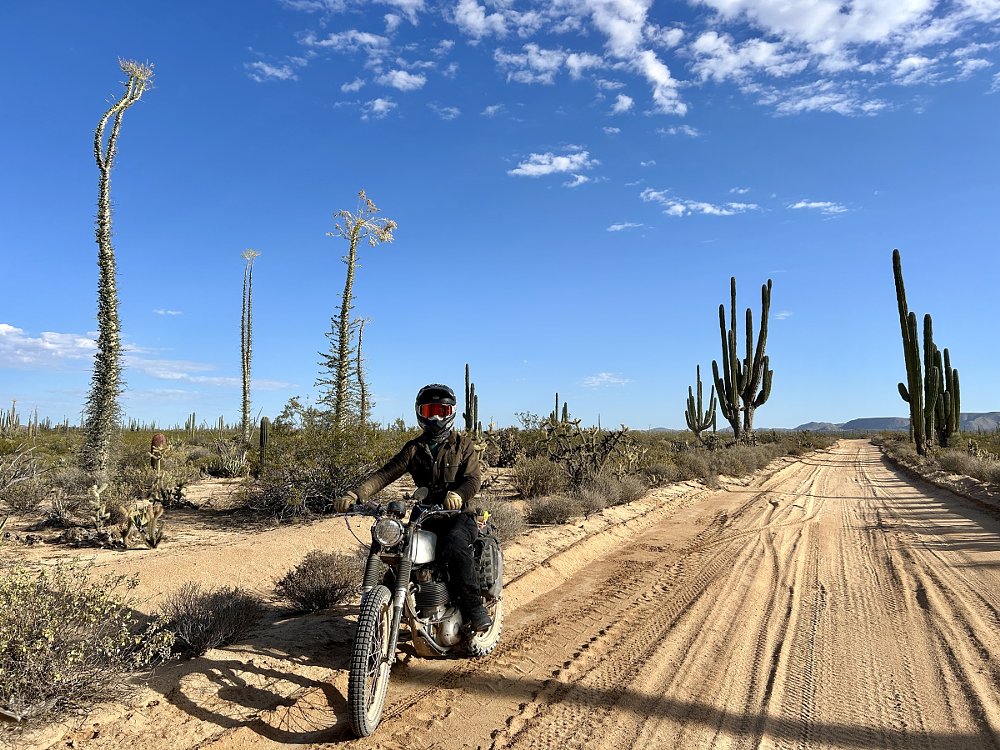 rider on a sandy dirt road in front of cactus