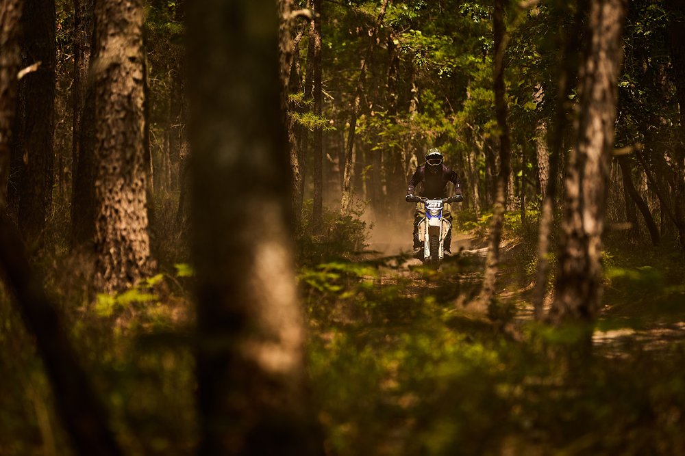 rider on a trail in the woods