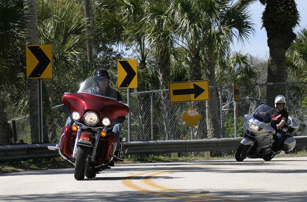 two touring motorcycles going through a curve under palm trees