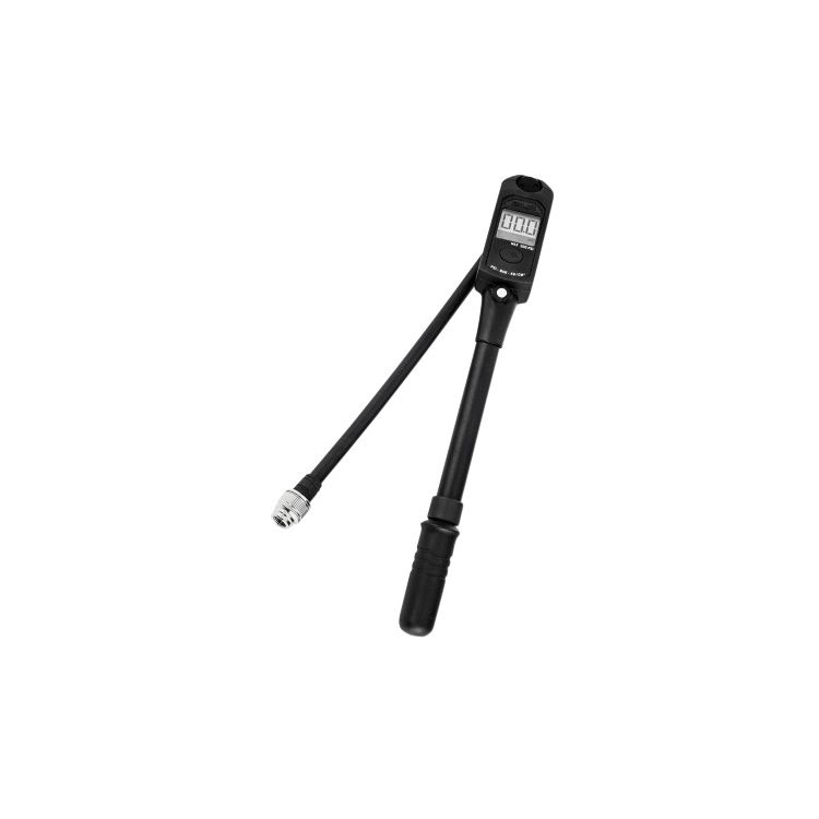 Progressive Digital Gauge Pump