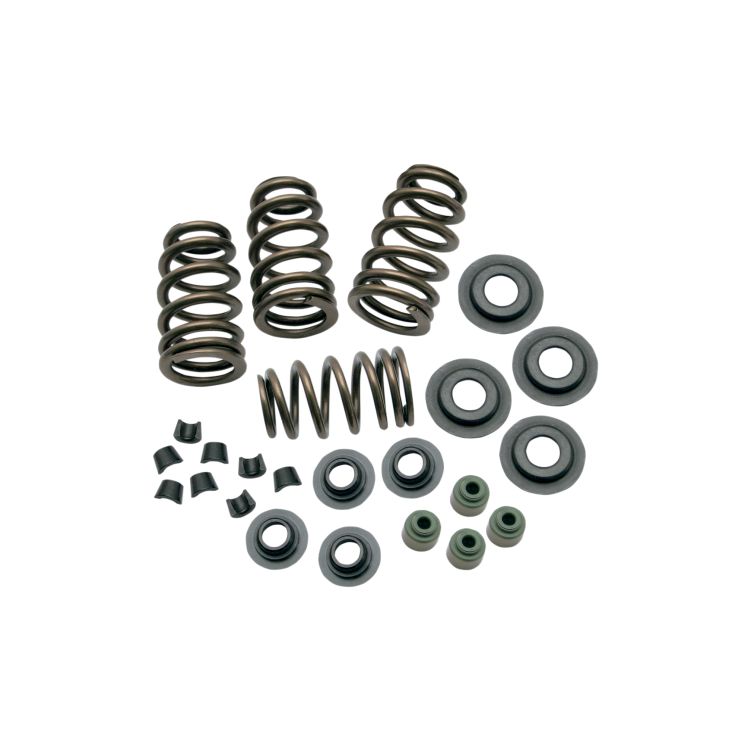 S&S Cycle Sidewinder .650 Valve Spring Kit For Harley Twin Cam / Sportster 2004-2022